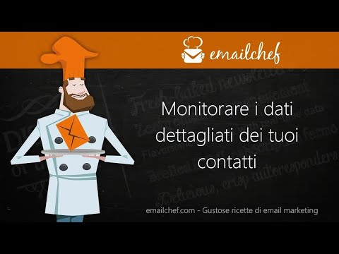 Tracciare le conversioni con emailchef: come monitorare il feed dettagliato sui tuoi abbonati.