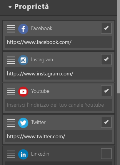footer icone social