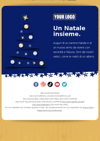 Template email auguri di natale